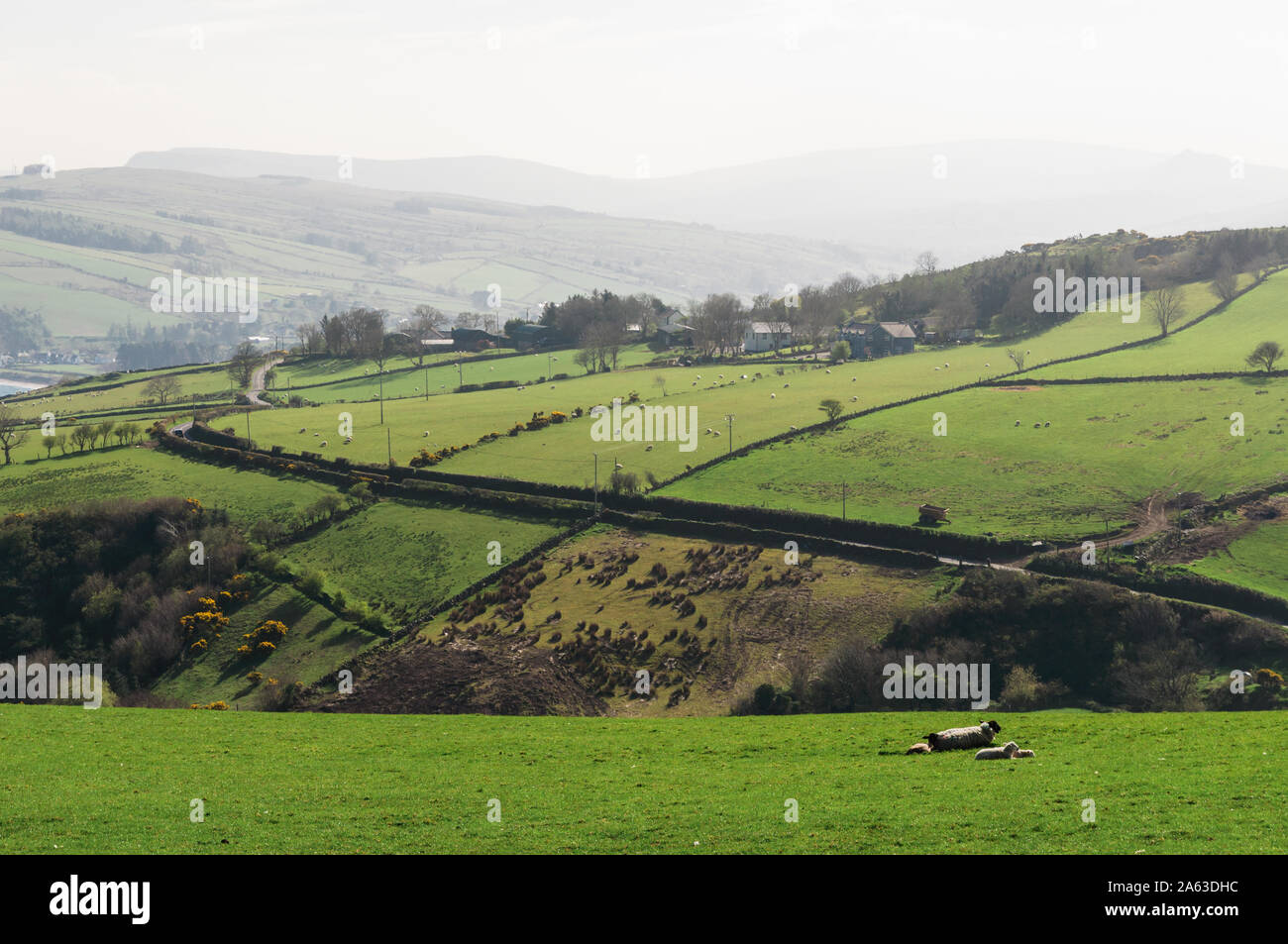 Scenic views on Causeway coastal route in Northern Ireland.Rolling hills on Antrim Coast Stock Photo
