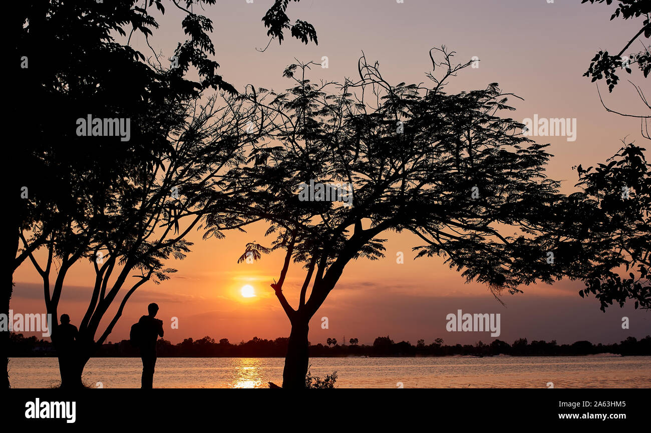 Silhouette of tree and lake scene in the sunset Stock Photo - Alamy