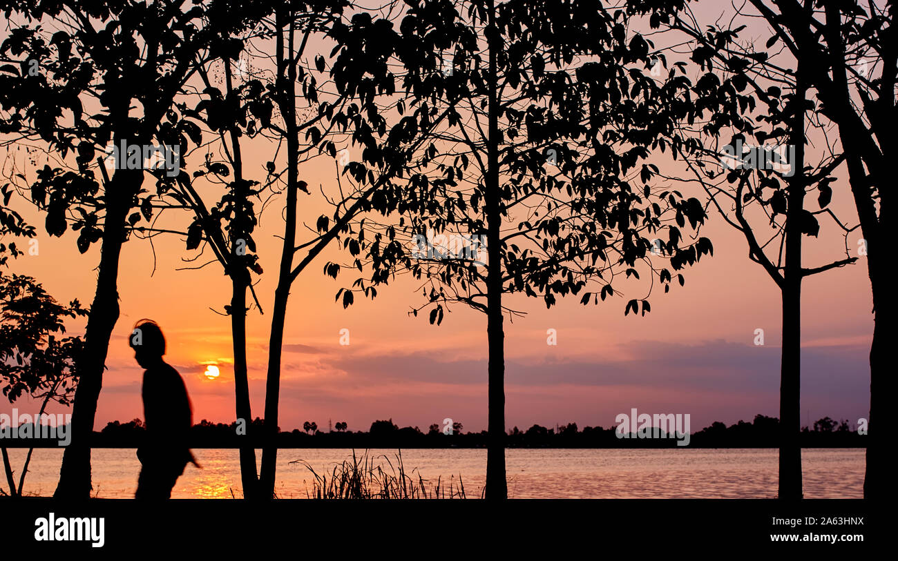 Silhouette of tree and lake scene in the sunset Stock Photo - Alamy
