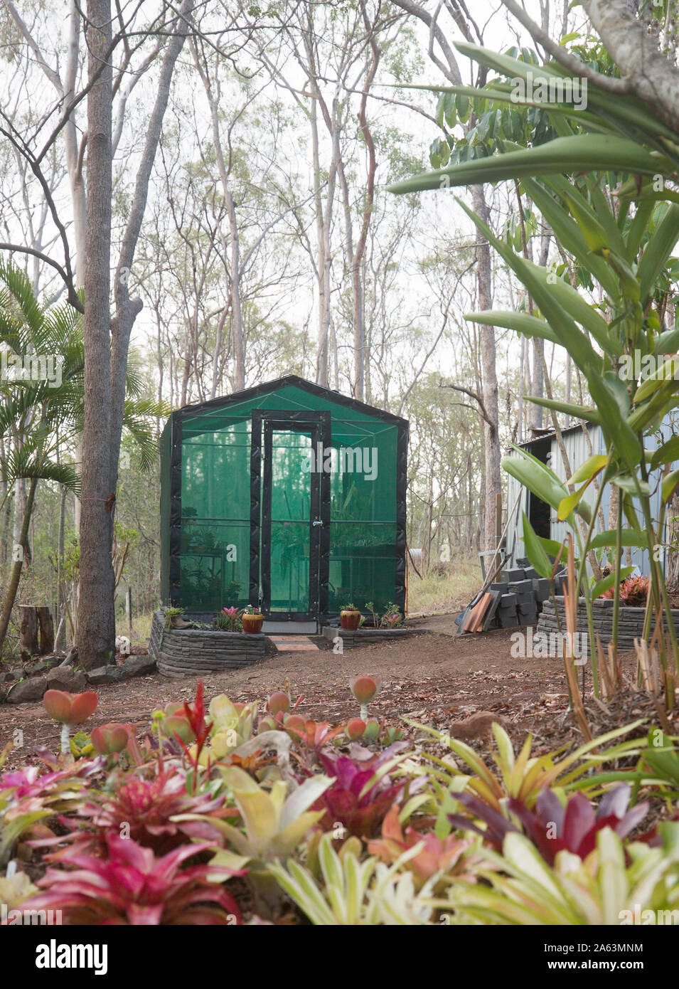 Home garden shadehouse with brick edged garden beds, paved pathway and mass planted bromeliads in foreground Stock Photo