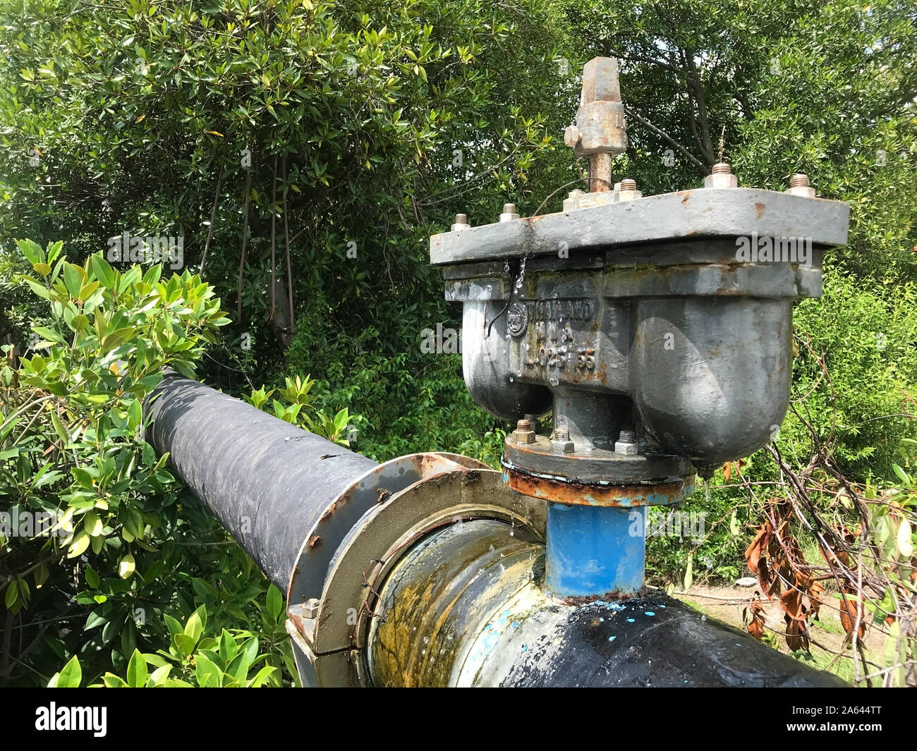 SAMUT PRAKAN, THAILAND, SEP 13 2019, Double Air Valve on steel pipe in tropical nature, Thailand. An Air relief Valve in water system supply. Stock Photo