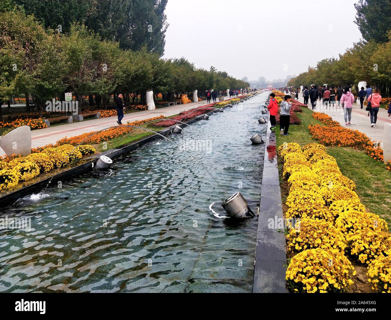 Beijing, China. 19th Oct, 2019. Mobile photo shows people visiting Beijing  International Flower Port in Shunyi