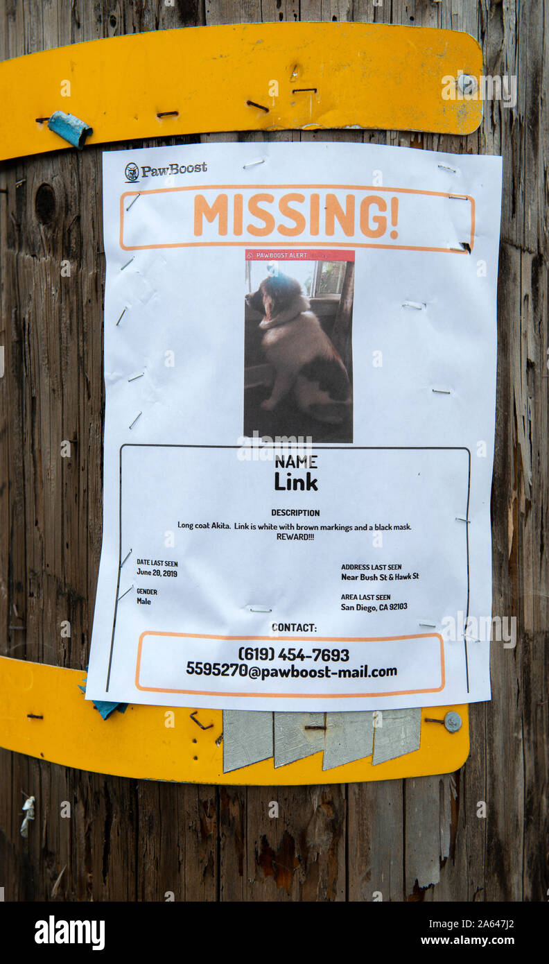 Lost dog poster on power pole, San Diego, California Stock Photo