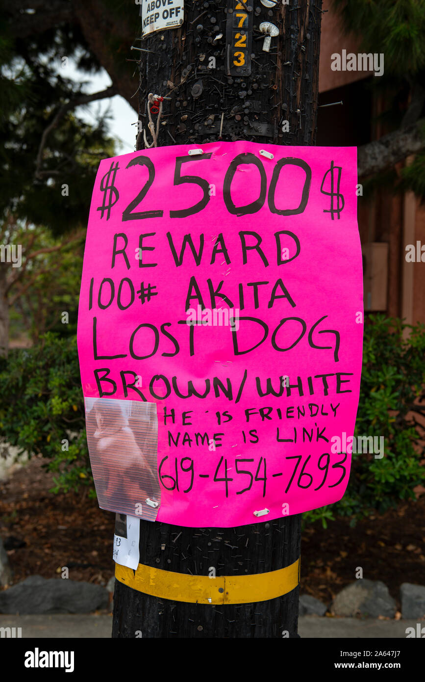 Lost dog poster on power pole, San Diego, California Stock Photo