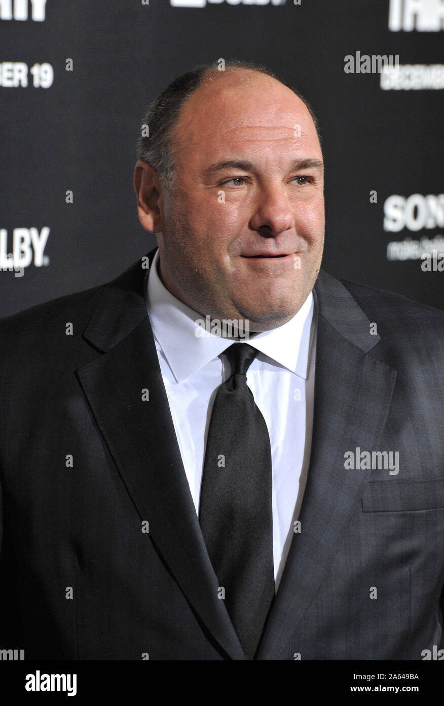 LOS ANGELES, CA. December 10, 2012 James Gandolfini at the premiere of