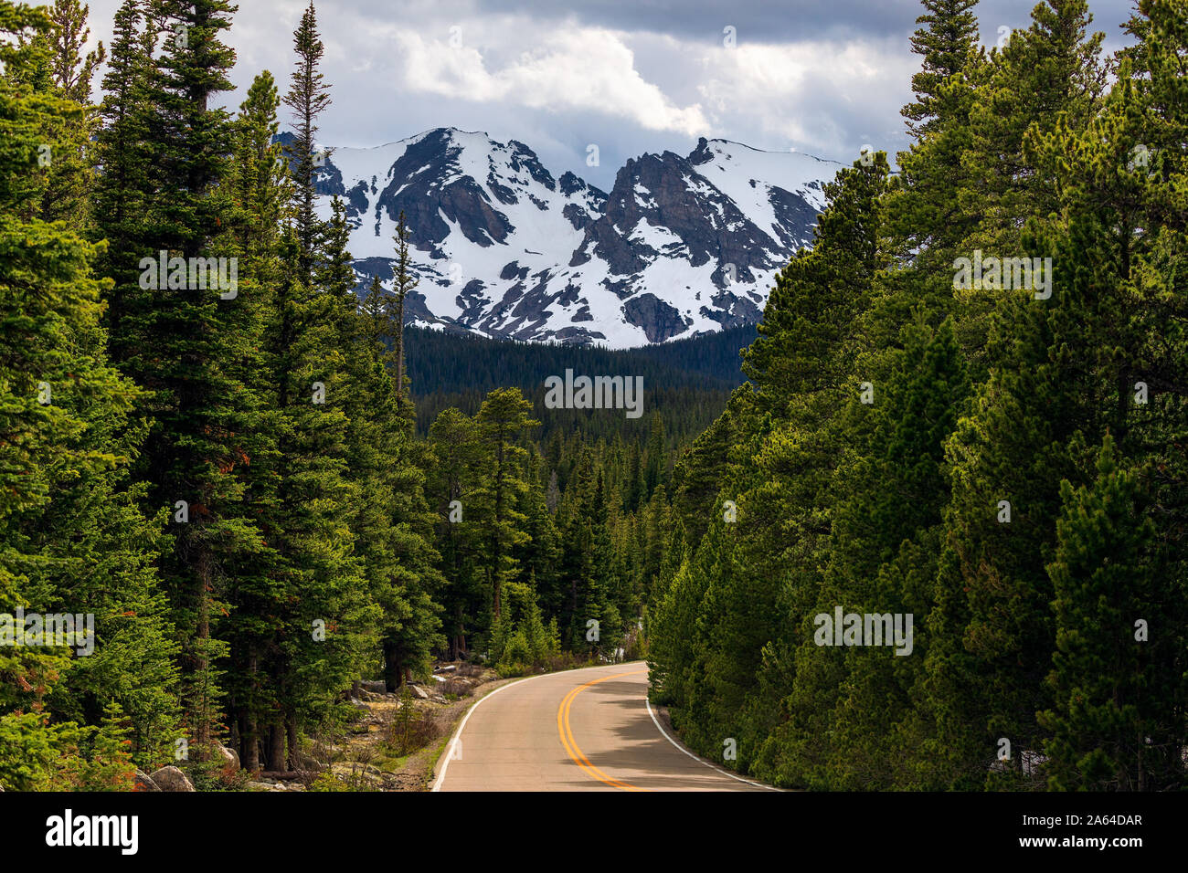 A winding road leads through the forest to Indian Peaks Wilderness in the Rocky Mountains near Ward, Colorado, USA Stock Photo