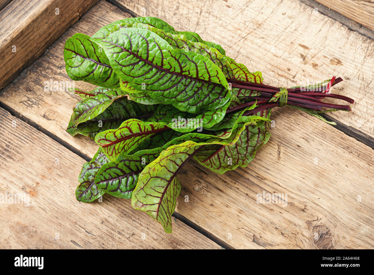 Bunch of fresh sorrel on wooden background.Sorrel bloody mary Stock Photo
