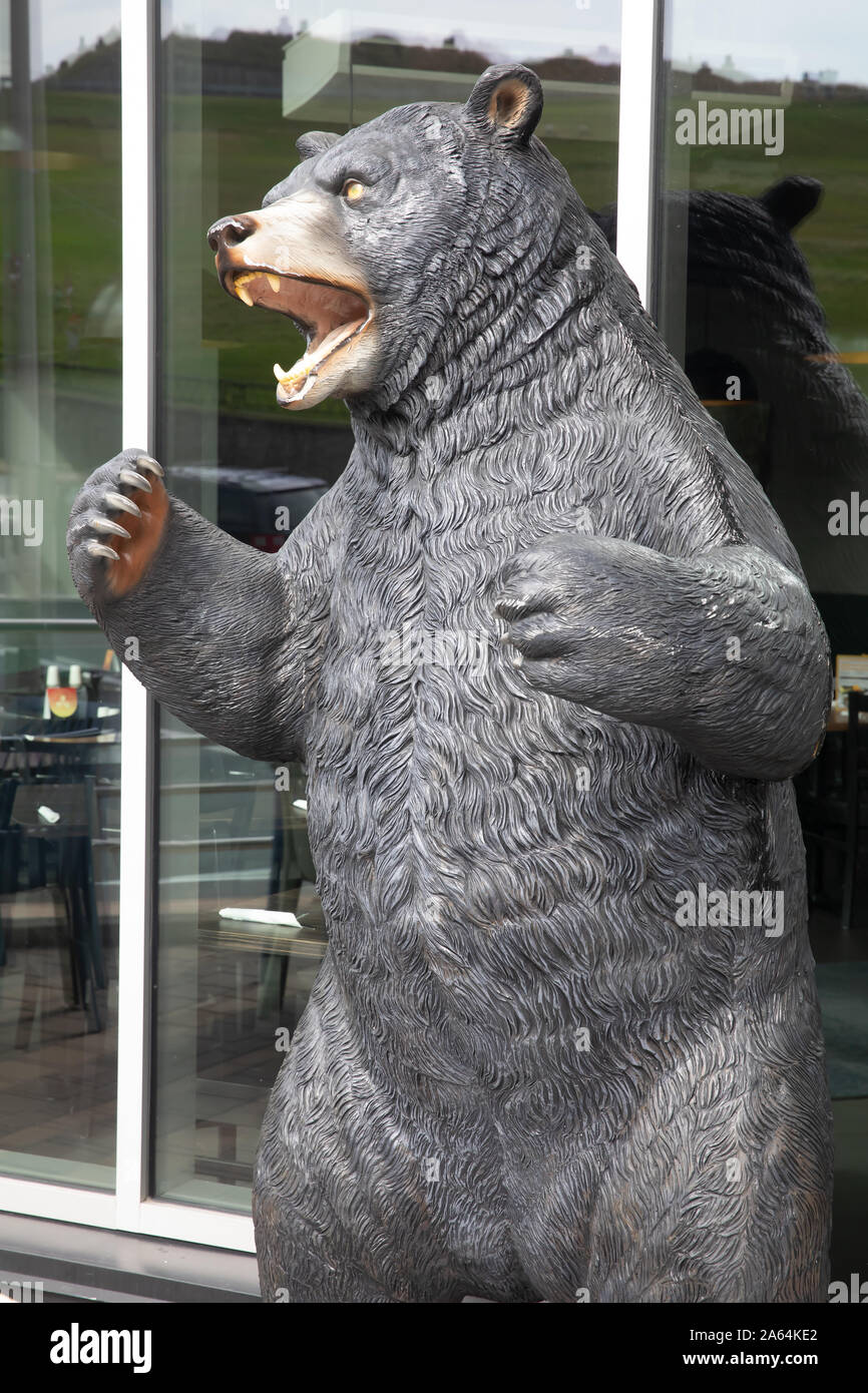 Black bear statue in Halifax, Nova Scotia during Autumn in Canada Stock