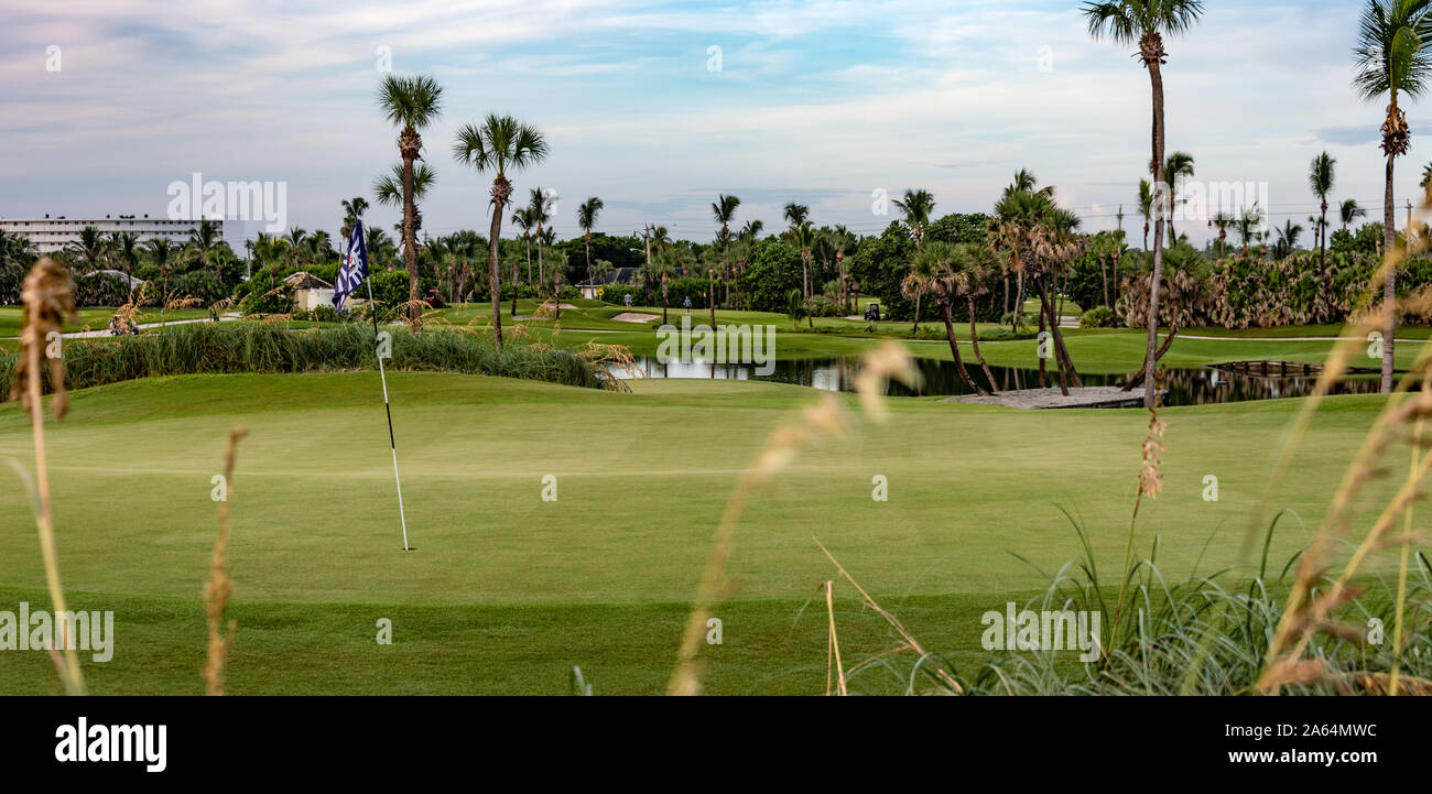 Palm Beach Golf High Resolution Stock Photography and Images - Alamy