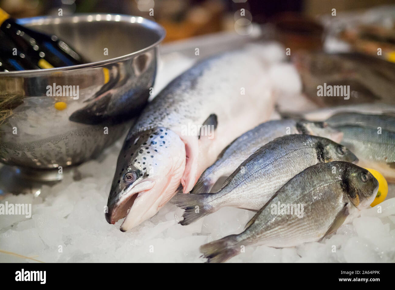 Staters Fresh Fish fresh fish and oysters in the restaurant Stock Photo - Alamy