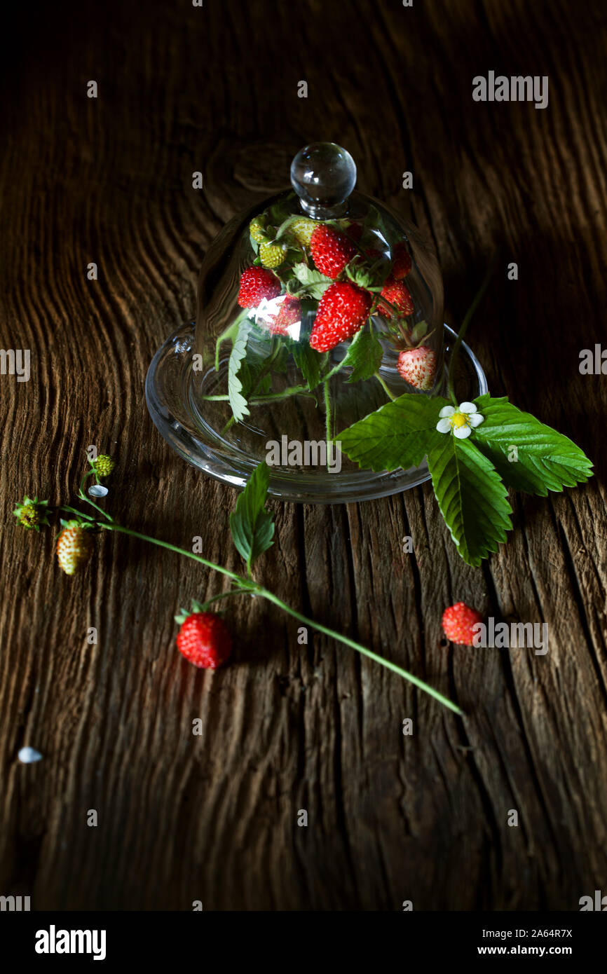Still life with wild strawberries hi-res stock photography and images ...