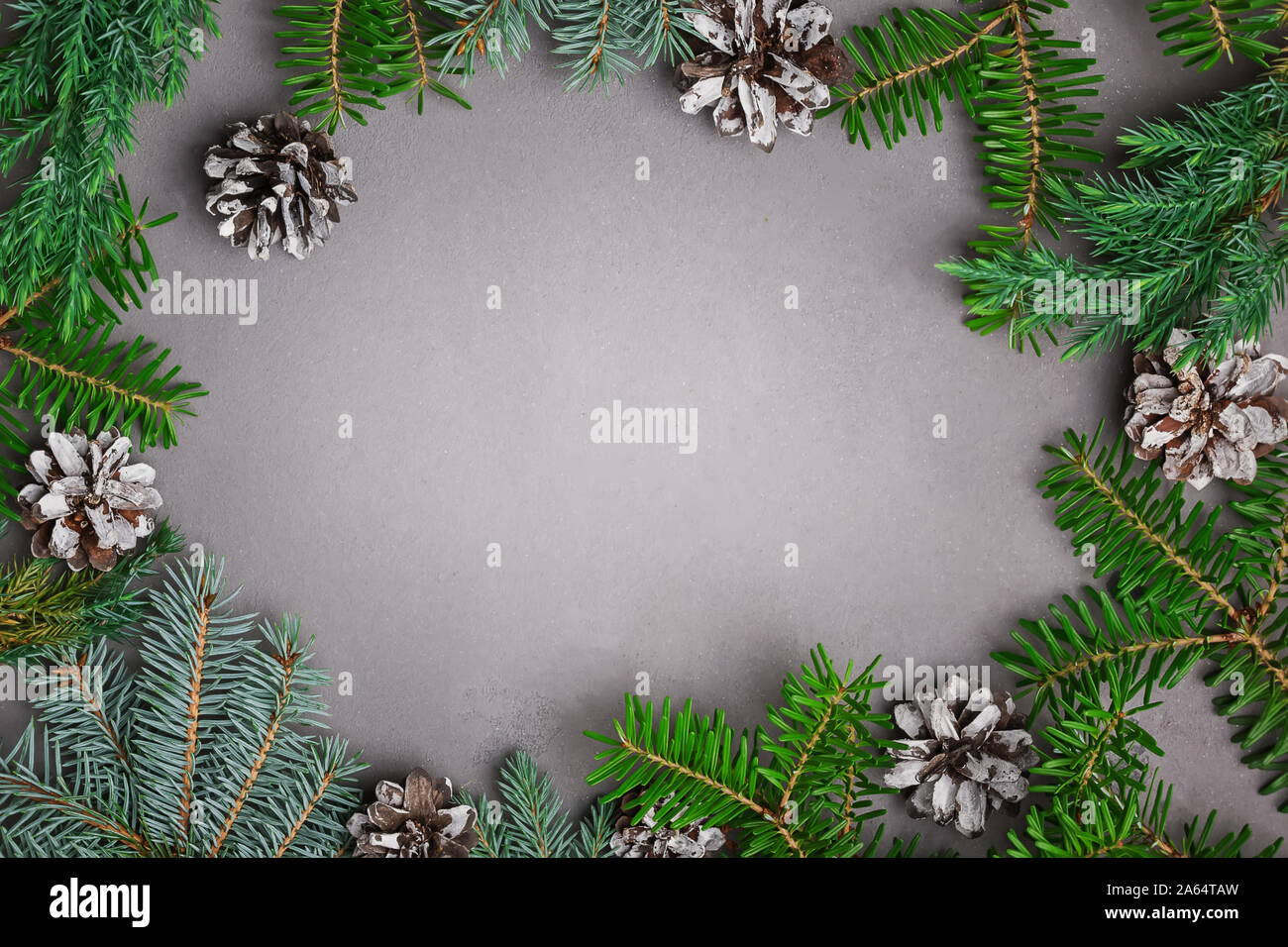 Creative Christmas frame with fir brunches of green and blue color Stock Photo