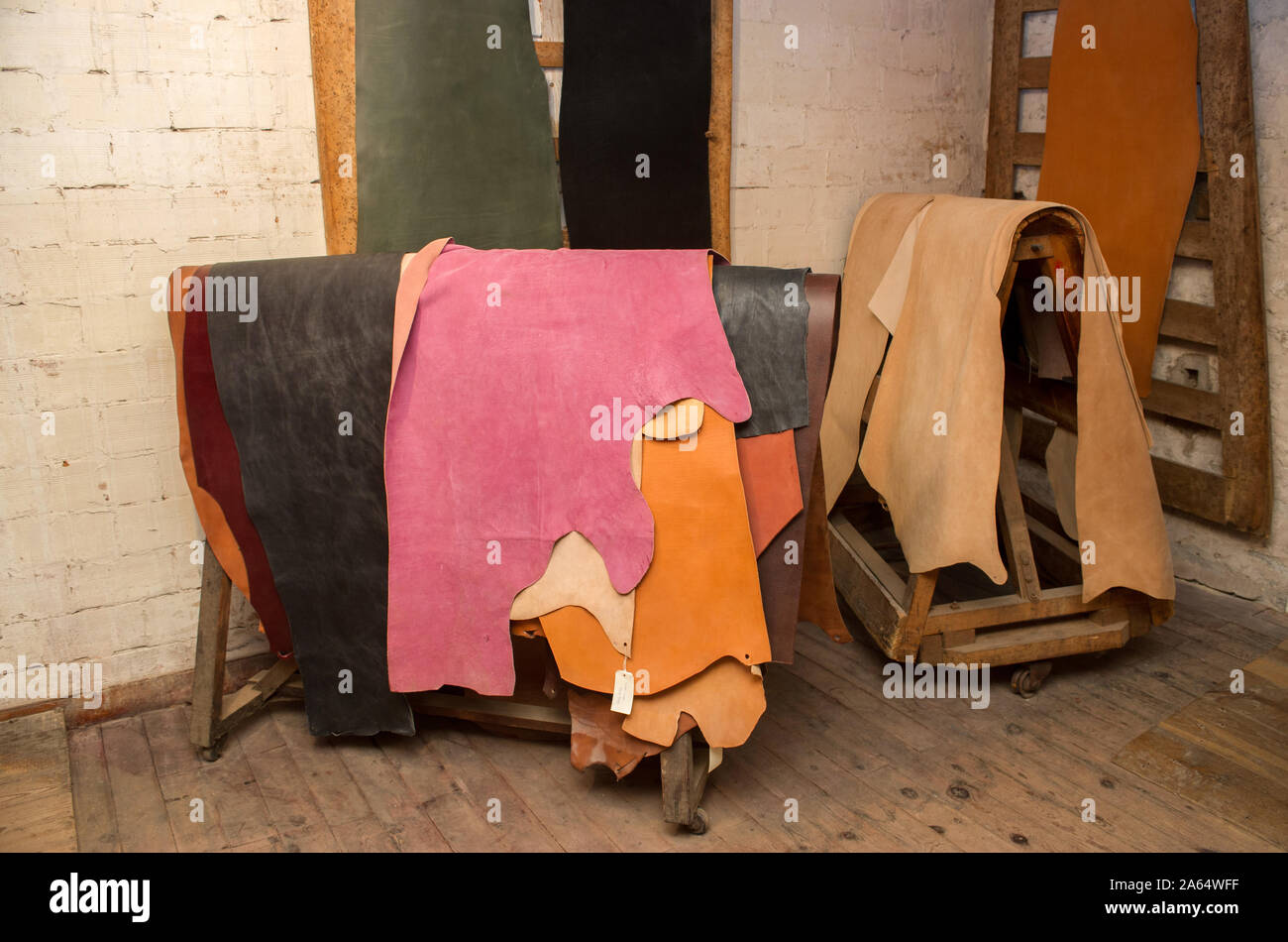 Bellac (central western France). Tannerie Gal, tannery specializing in the vegetable tanning of bovine hides and skins. Showroom with treated hides Stock Photo