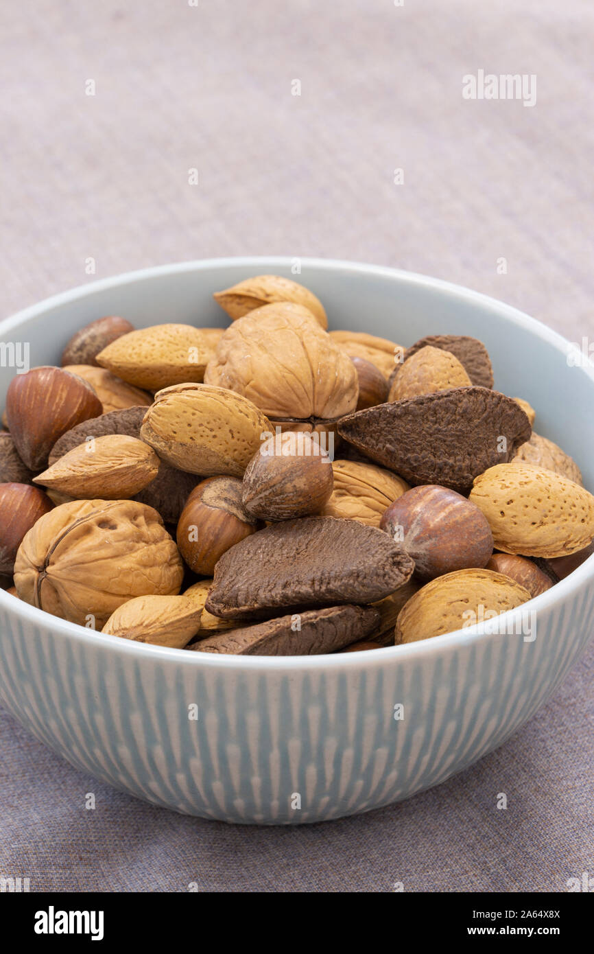 brazil nuts in shells to buy