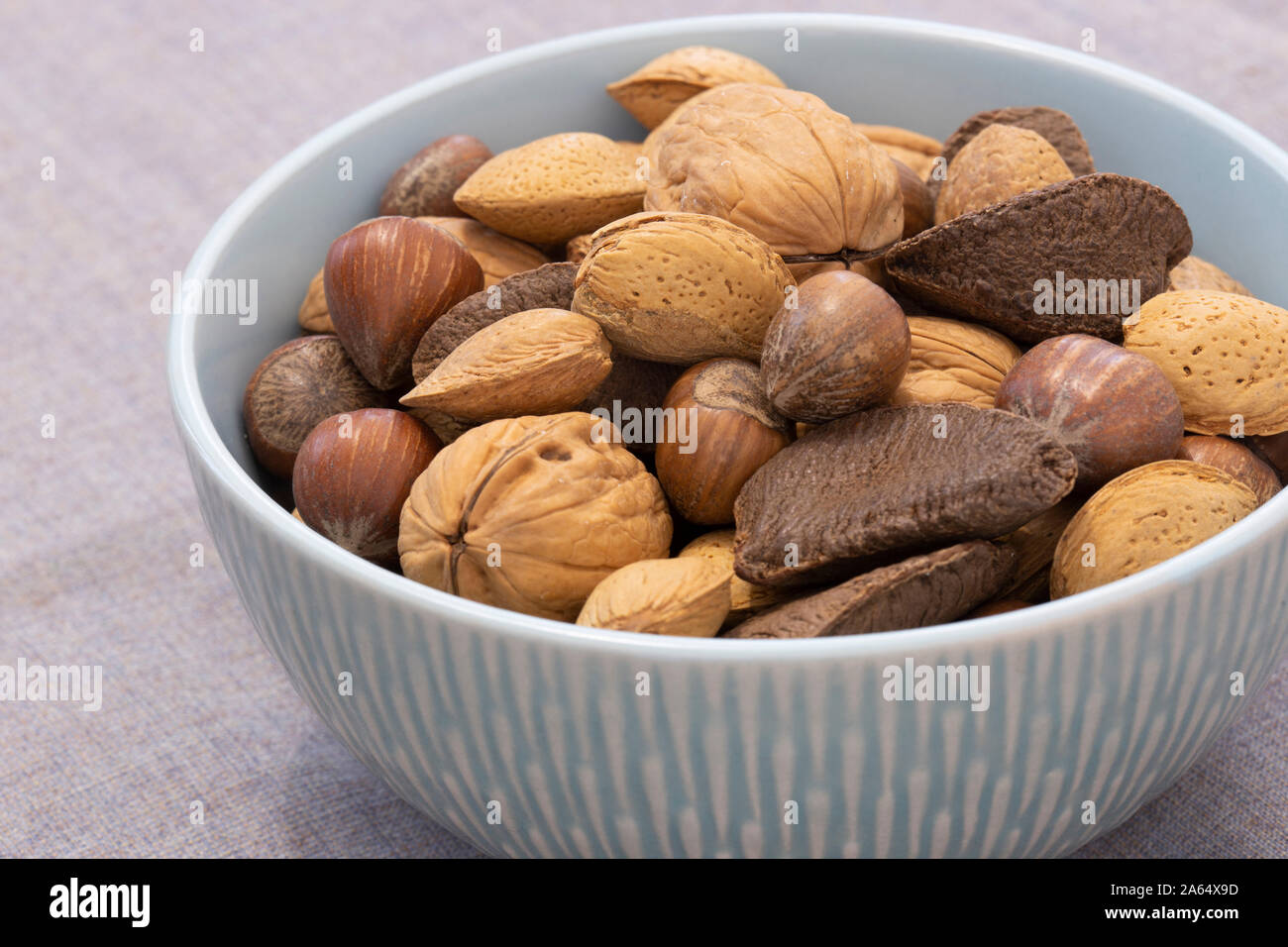 brazil nuts in shells to buy