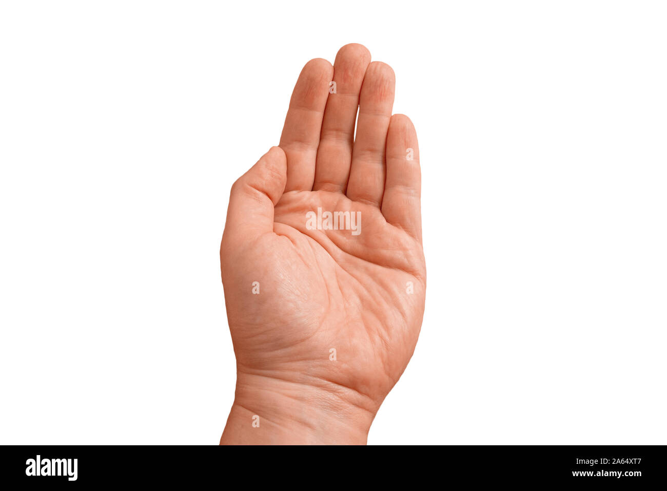 Open palm up with straight closed finger of adult guy. Gesture of man hand  on transparent isolated background. Closeup mockup Stock Photo - Alamy