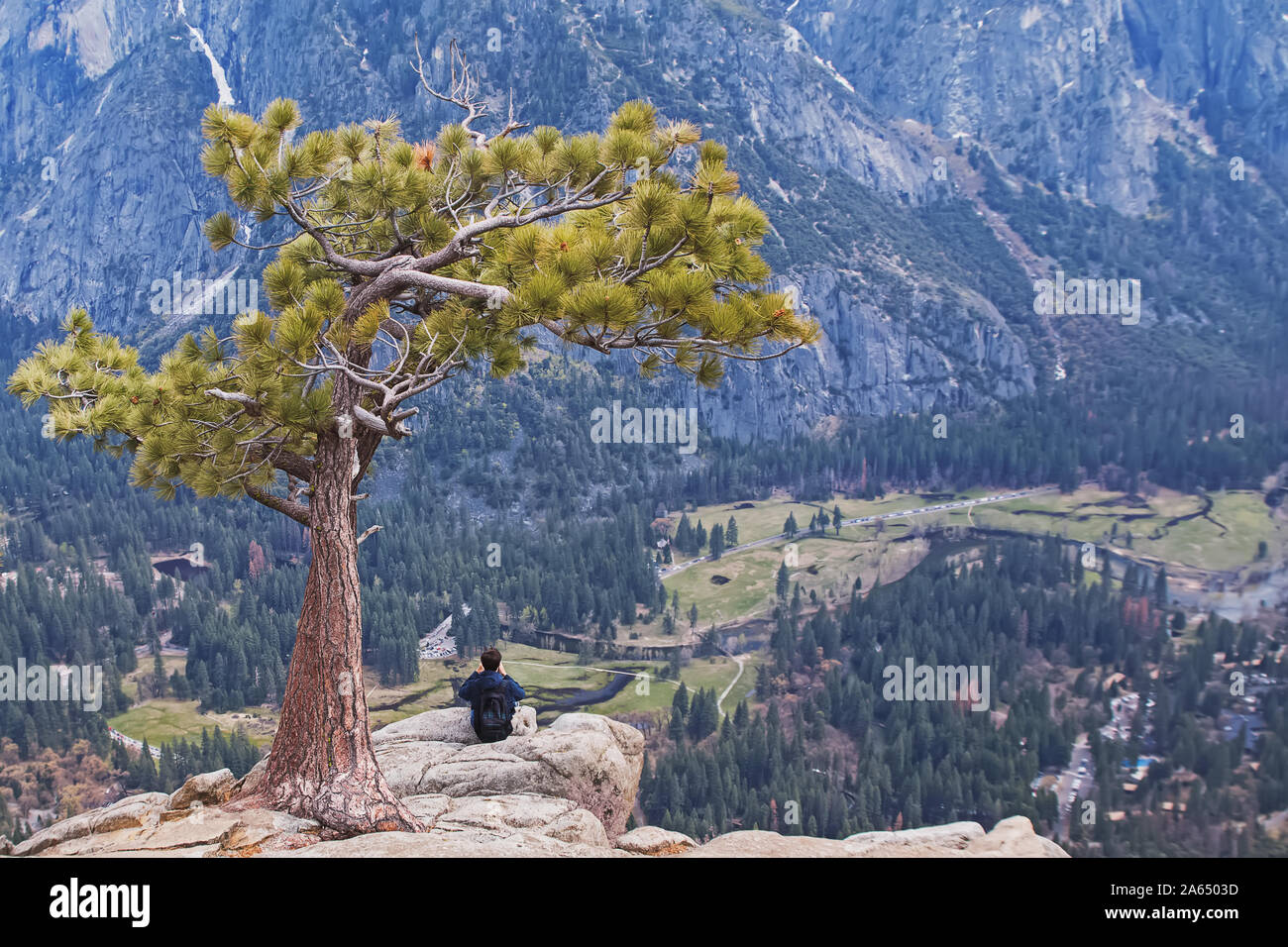 Man sitting under lonely tree on the peak of the rock Stock Photo
