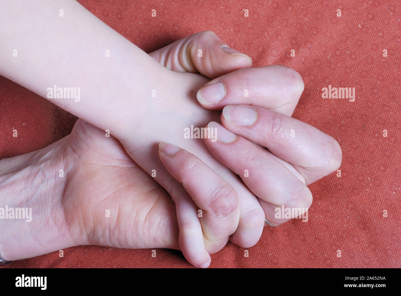 Mains, adulte et enfant Stock Photo