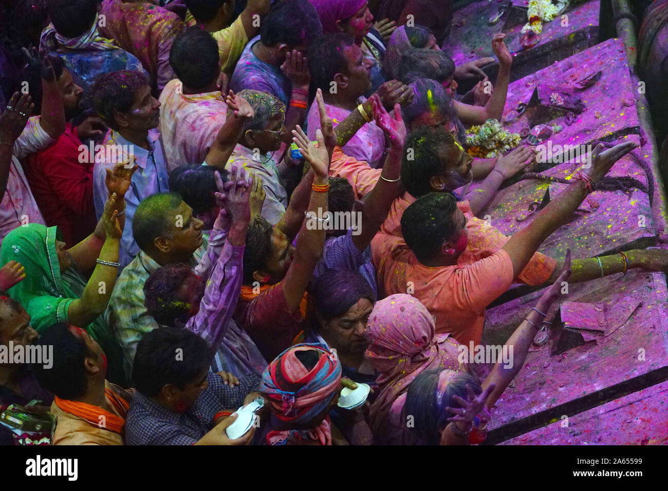 People celebrating Holi festival of colour, Banke Bihari Temple, Uttar Pradesh, India, Asia Stock Photo