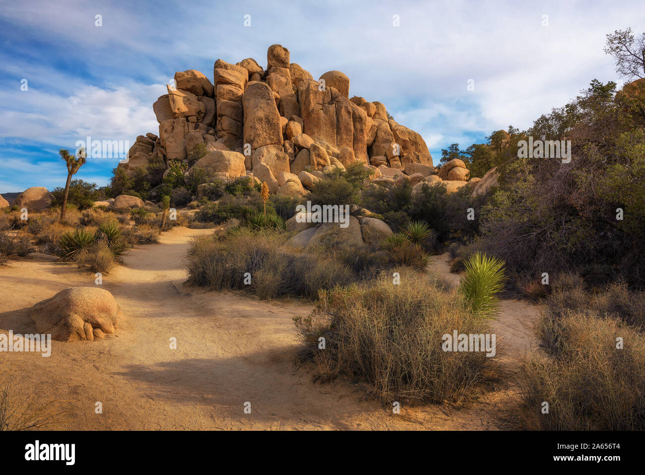 Desert trail in Joshua Tree National Park, Stock Photo