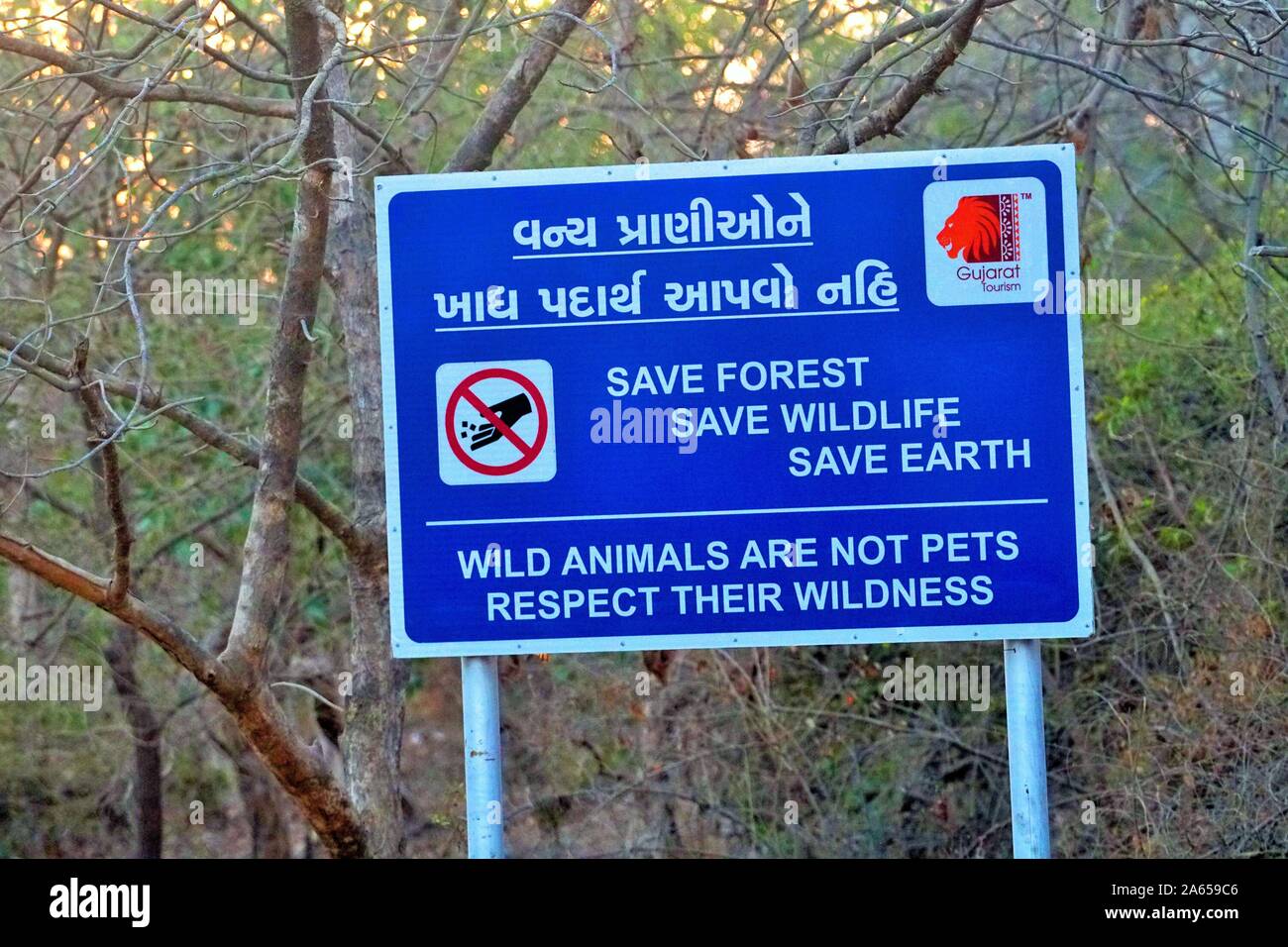 Safety hoarding at Gir Wildlife Sanctuary, Gujarat, India, Asia Stock Photo