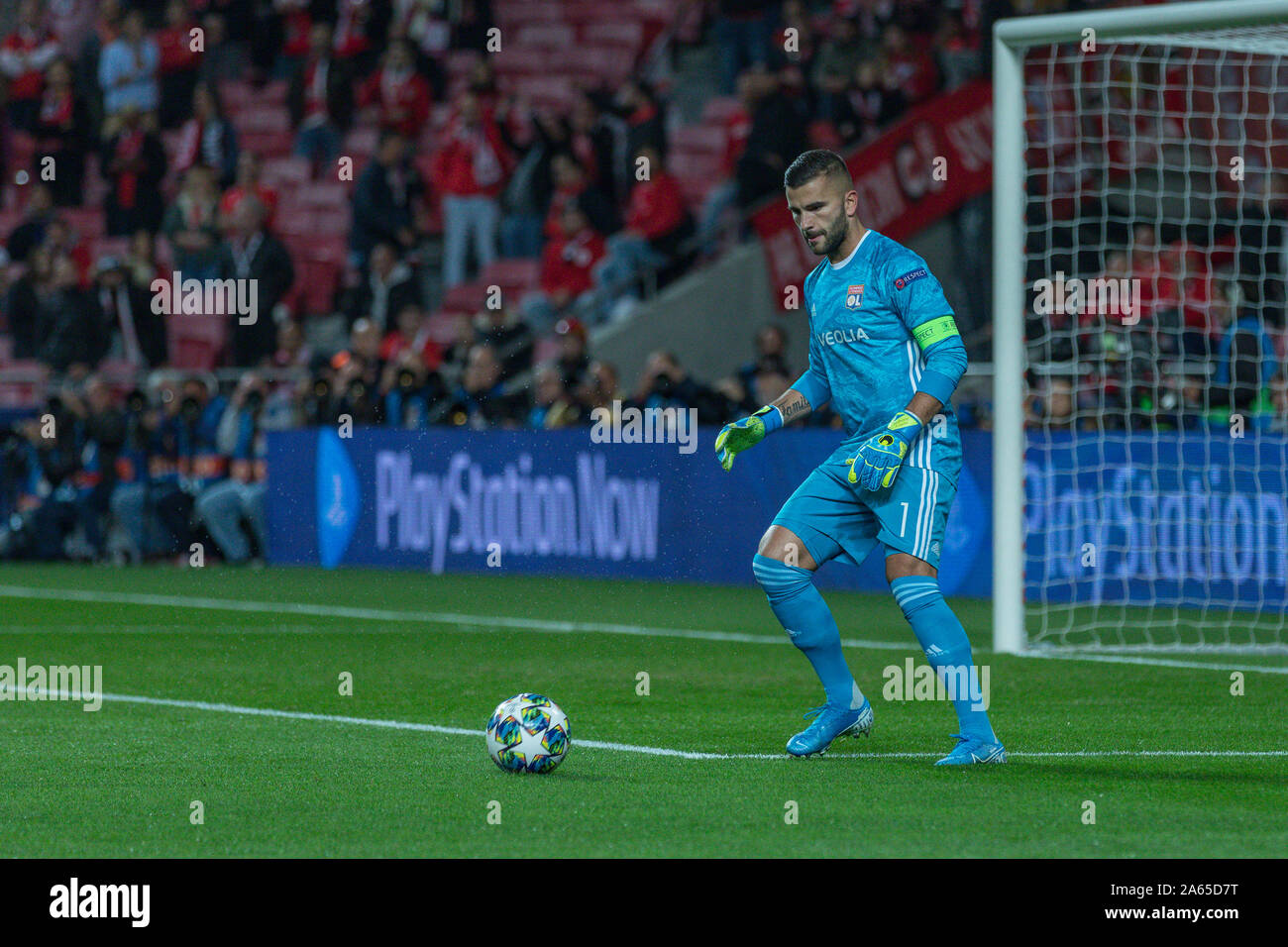 Lisbon, Portugal. 23rd Oct, 2019. Lyon's goalkeeper from Portugal Anthony Lopes (1) in action during the game of the 1st round of Group G for the UEFA Champions League, SL Benfica vs Olympique Lyonnais © Alexandre de Sousa/Alamy Live News Stock Photo