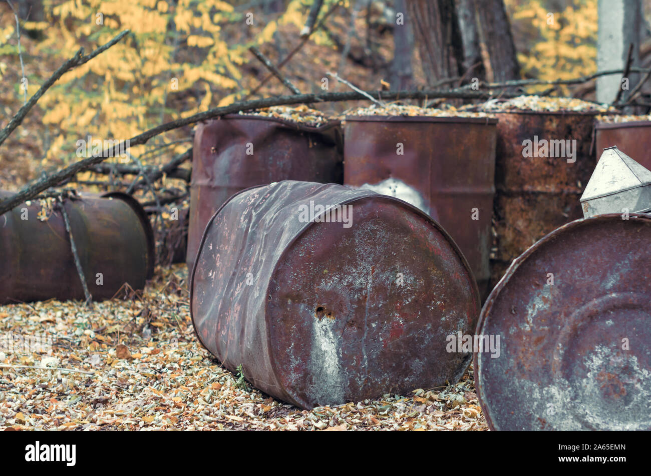 old barrels of chemical waste and chlorine in the forest in Chernobyl