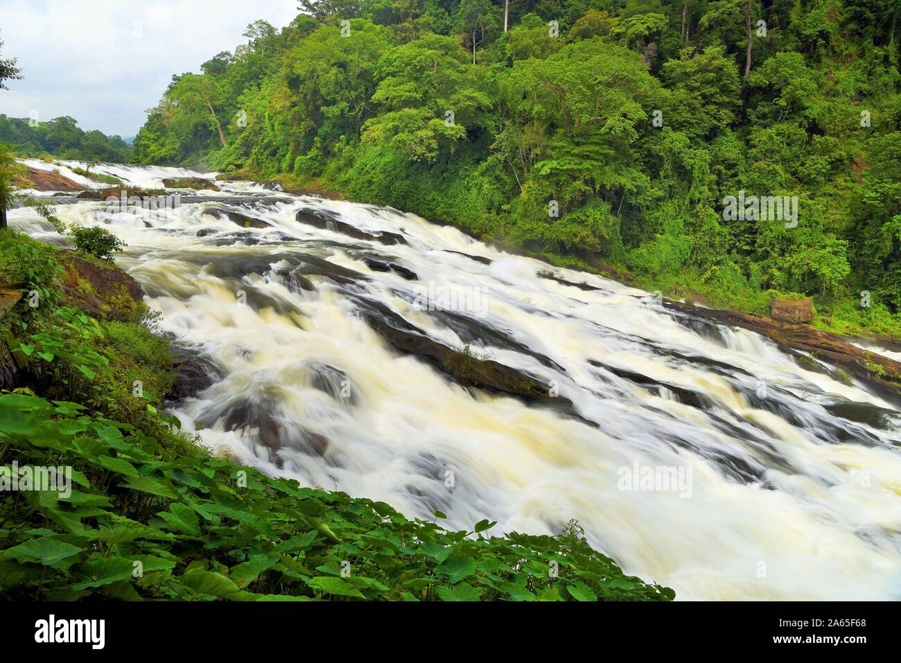 Chalakudy High Resolution Stock Photography and Images Alamy