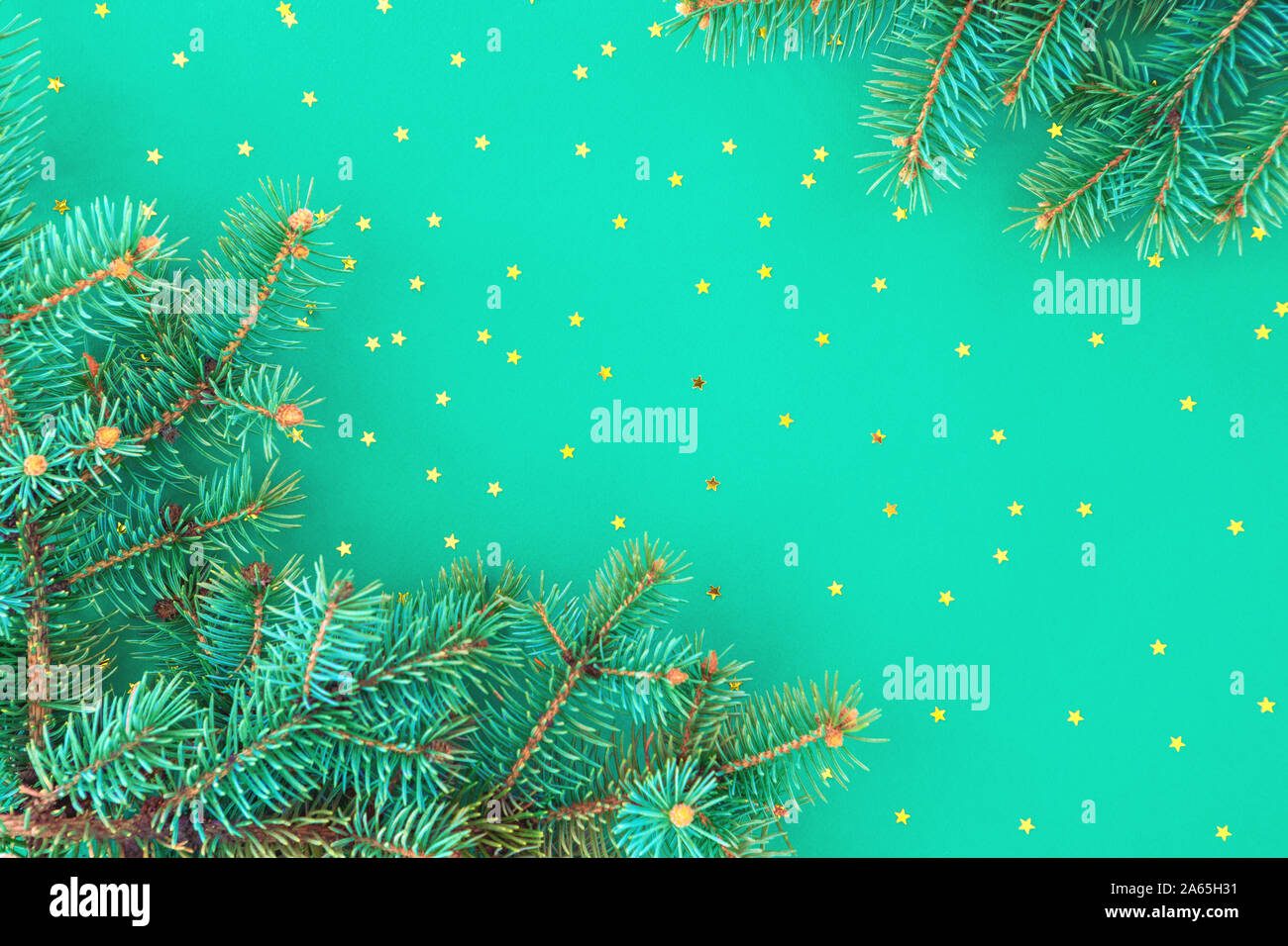 Christmas composition with borders of fluffy green fir branches and ...