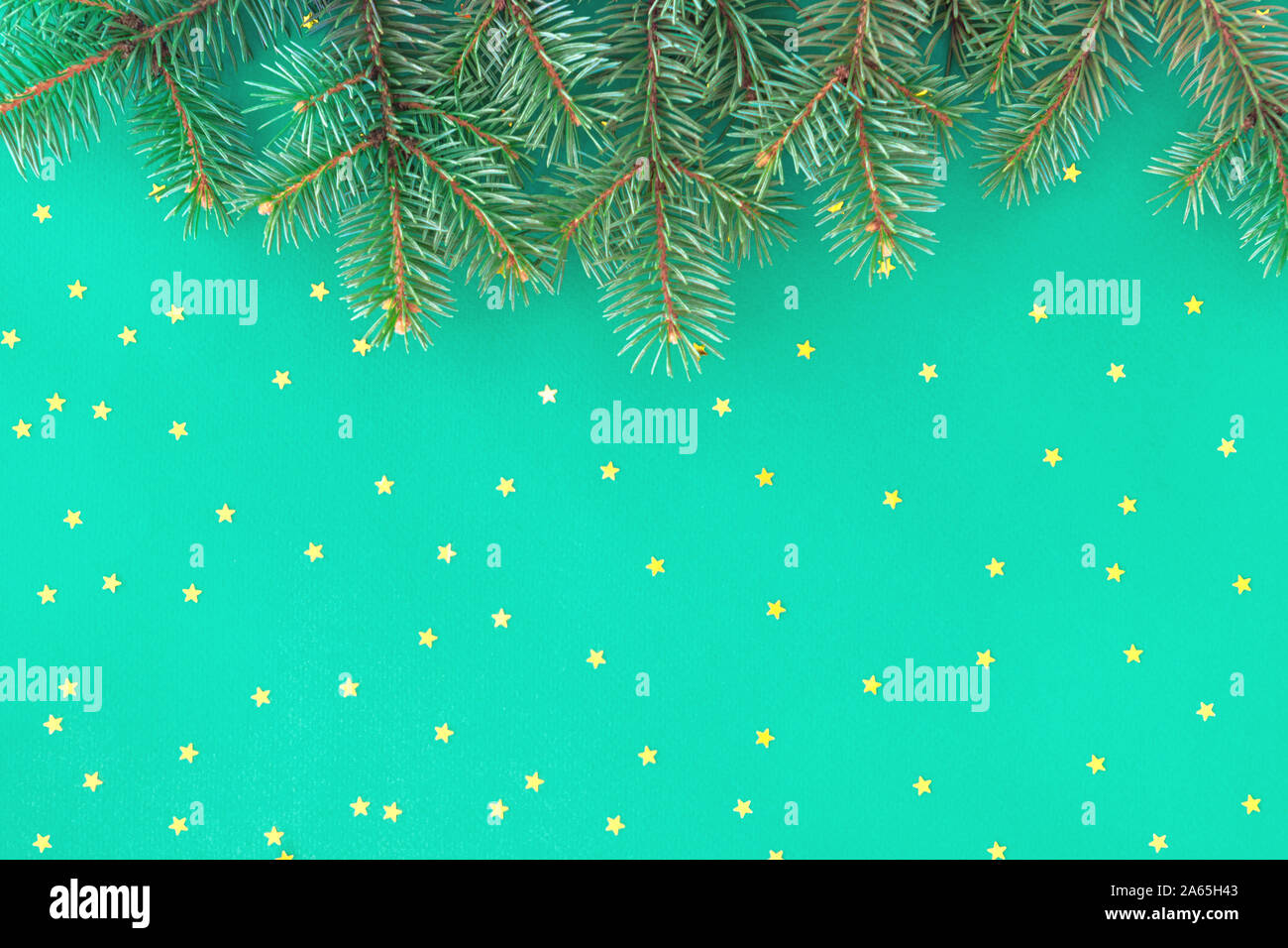 Christmas composition with border of fluffy green fir branches and ...