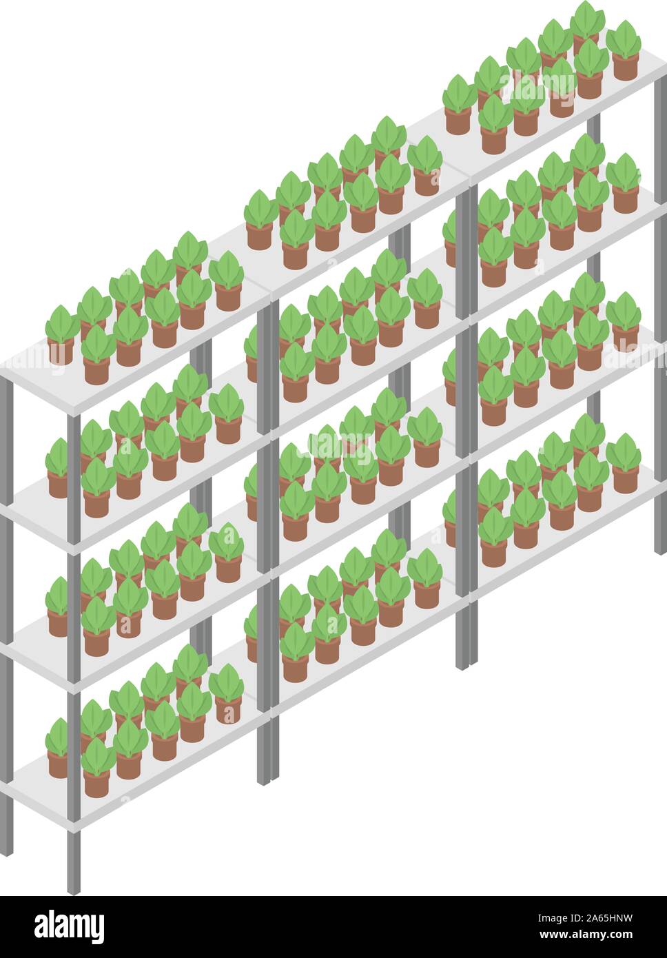 Houseplant rack icon, isometric style Stock Vector Image & Art - Alamy