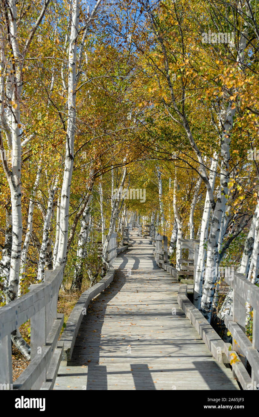Boardwalk over the lake and marsh at the Sackville Waterfowl Park in Sackville, New Brunswick, Canada. Stock Photo