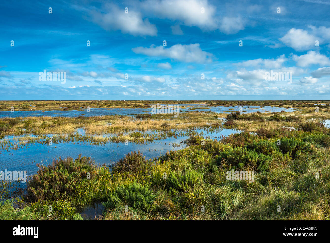 Morston salt Marshes seen from the Blakeney to Morston coastal path. Norfolk, England, UK. Stock Photo