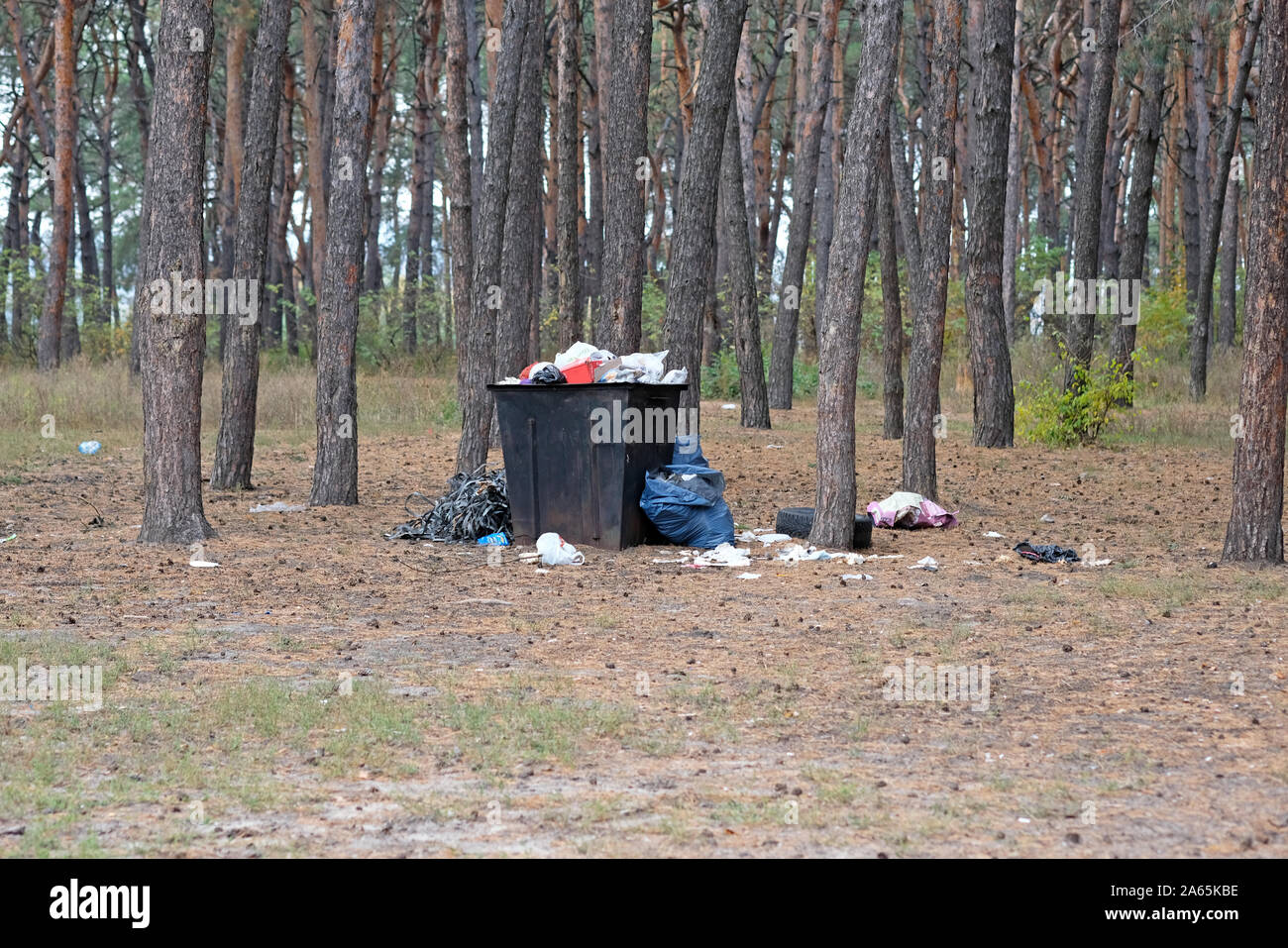 An iron litter bin stands in a coniferous forest. An iron urn is filled with garbage, garbage is lying around. Environmental protection, garbage dispo Stock Photo