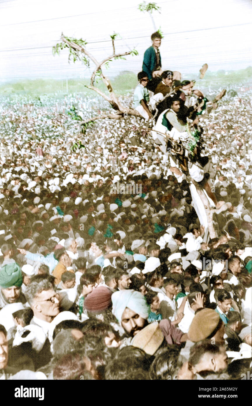 People sitting on tree for last glimpse Mahatma Gandhi, New Delhi, India, Asia, January 31, 1948 Stock Photo