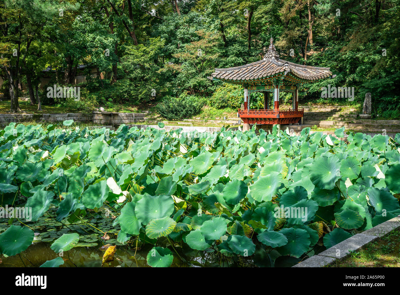 Huwon secret garden view at Changdeokgung Palace with view of Aeryeonji lotus pond and Aeryeonjeong pavilion in Seoul South Korea Stock Photo
