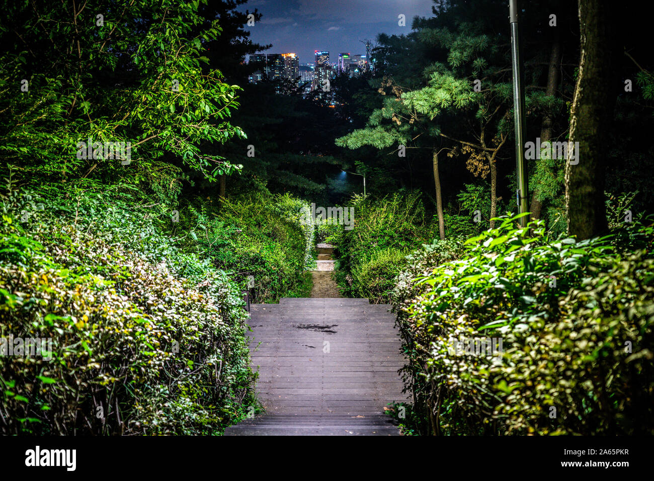 Path down Namsan mountain park at night with city from a distance in Seoul South Korea Stock Photo