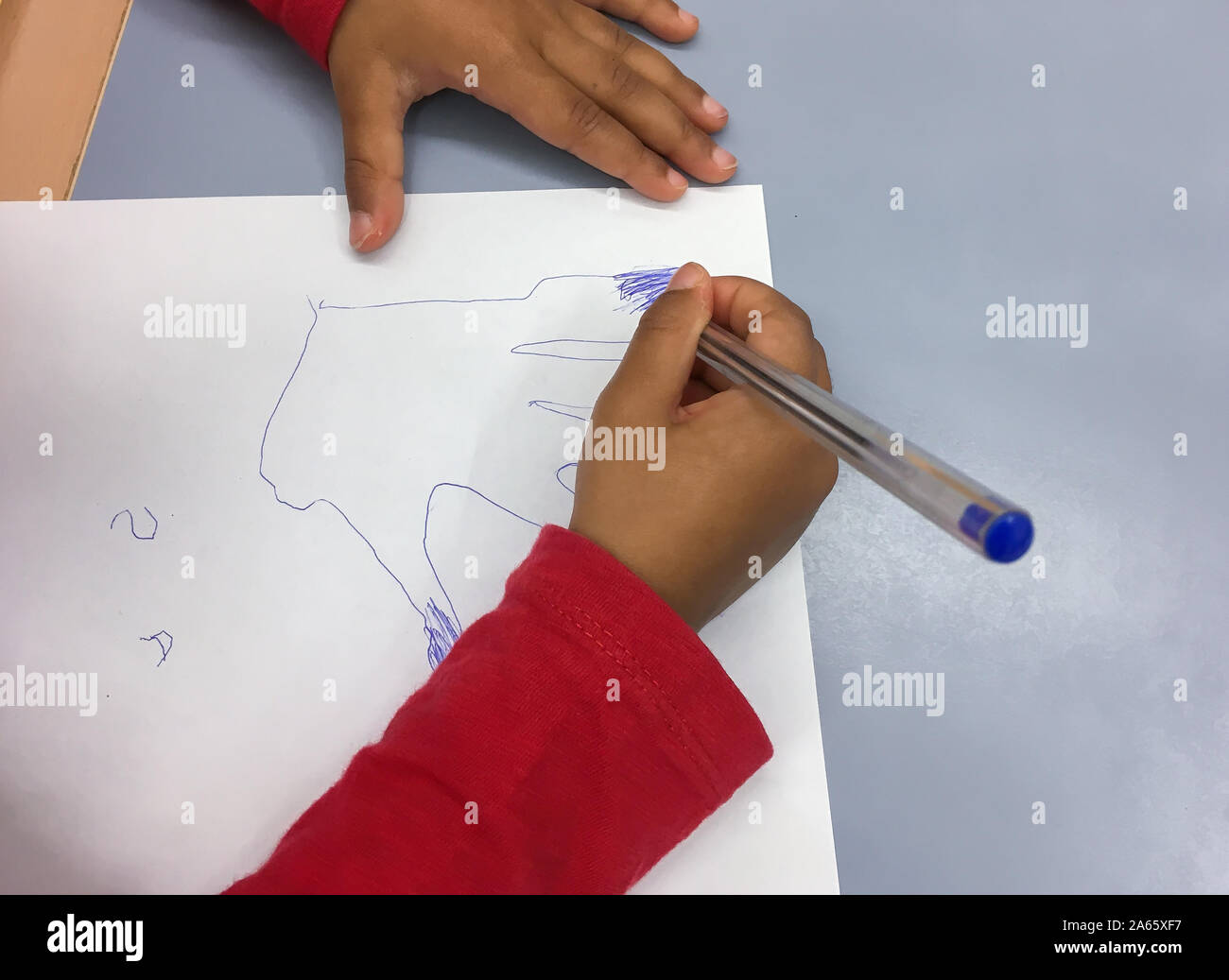 children is draws with a blue pen on a white sheet Stock Photo Alamy