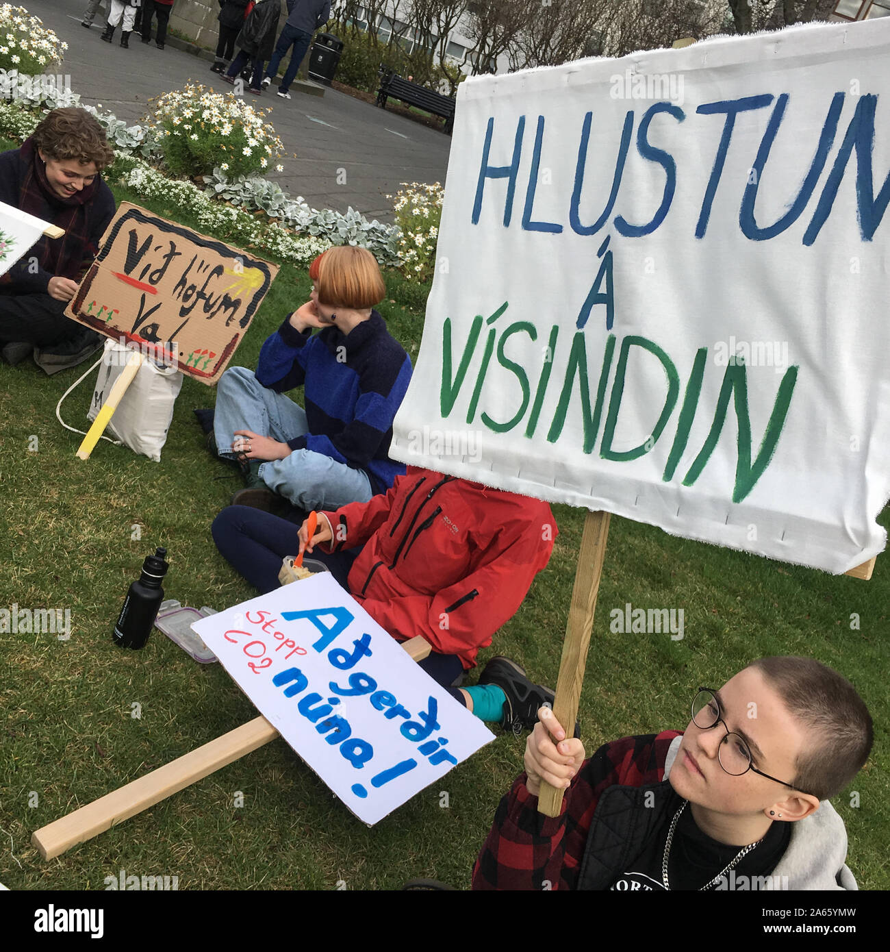 Fridays4Future, youths school strike to raise awareness of the environment and climate change, in Reykjavik, Iceland, 11 October 2019. Stock Photo
