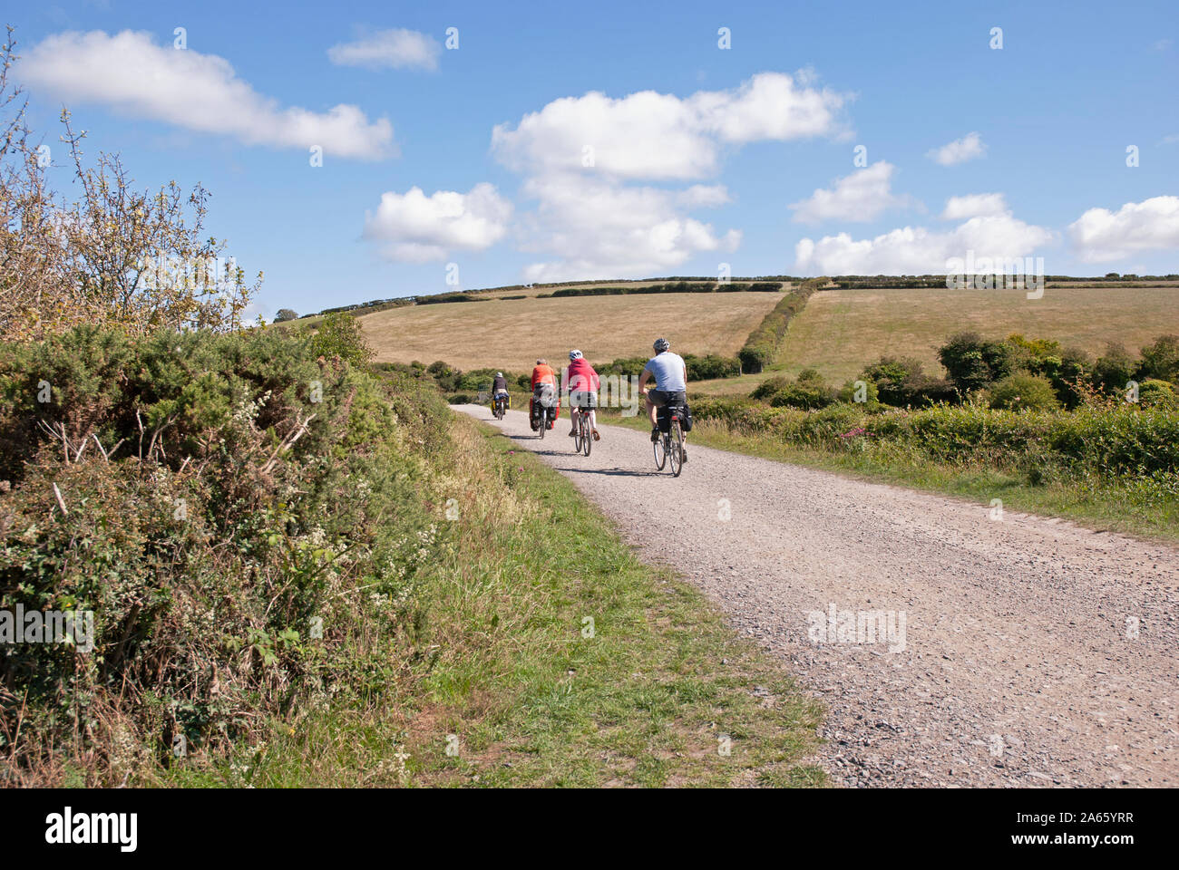 Cyclists on the Camel Trail beside the Camel estuary between Wadebridge