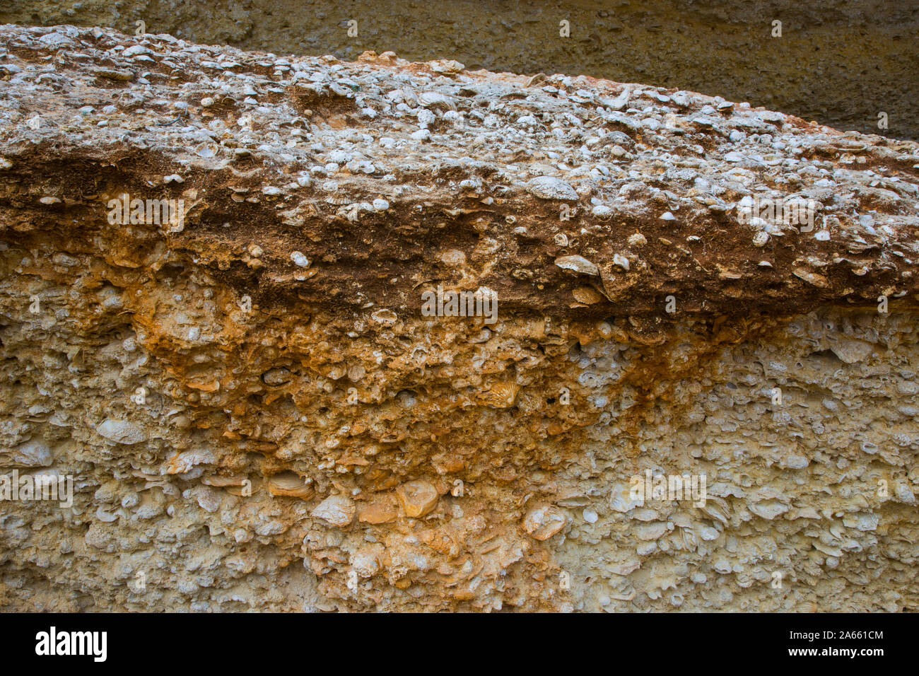 Landscape in Cabo Roche, Cadiz Stock Photo - Alamy