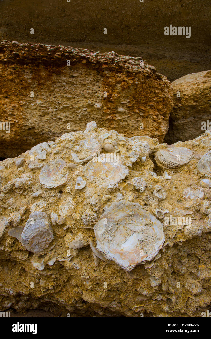 Cabo roche hi-res stock photography and images - Alamy