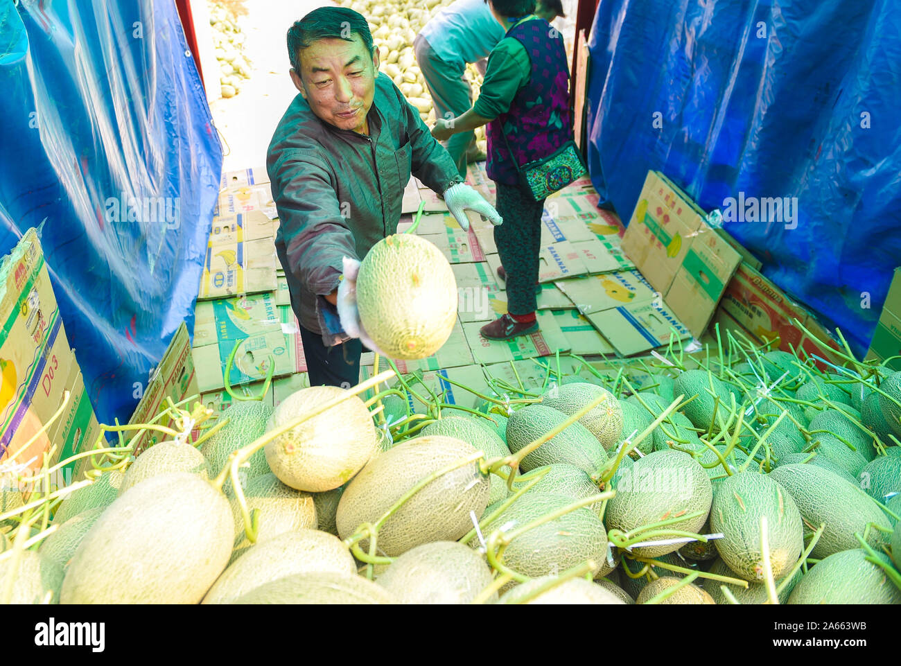 Melon varieties hires stock photography and images Alamy