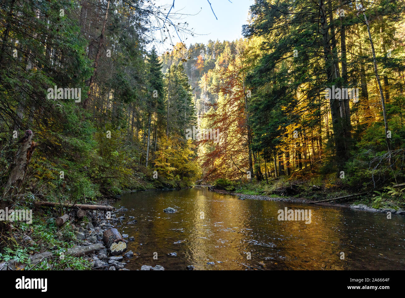 The Prielom Hornádu hiking trail in the Slovak Paradise in autumn with changing colours Stock Photo