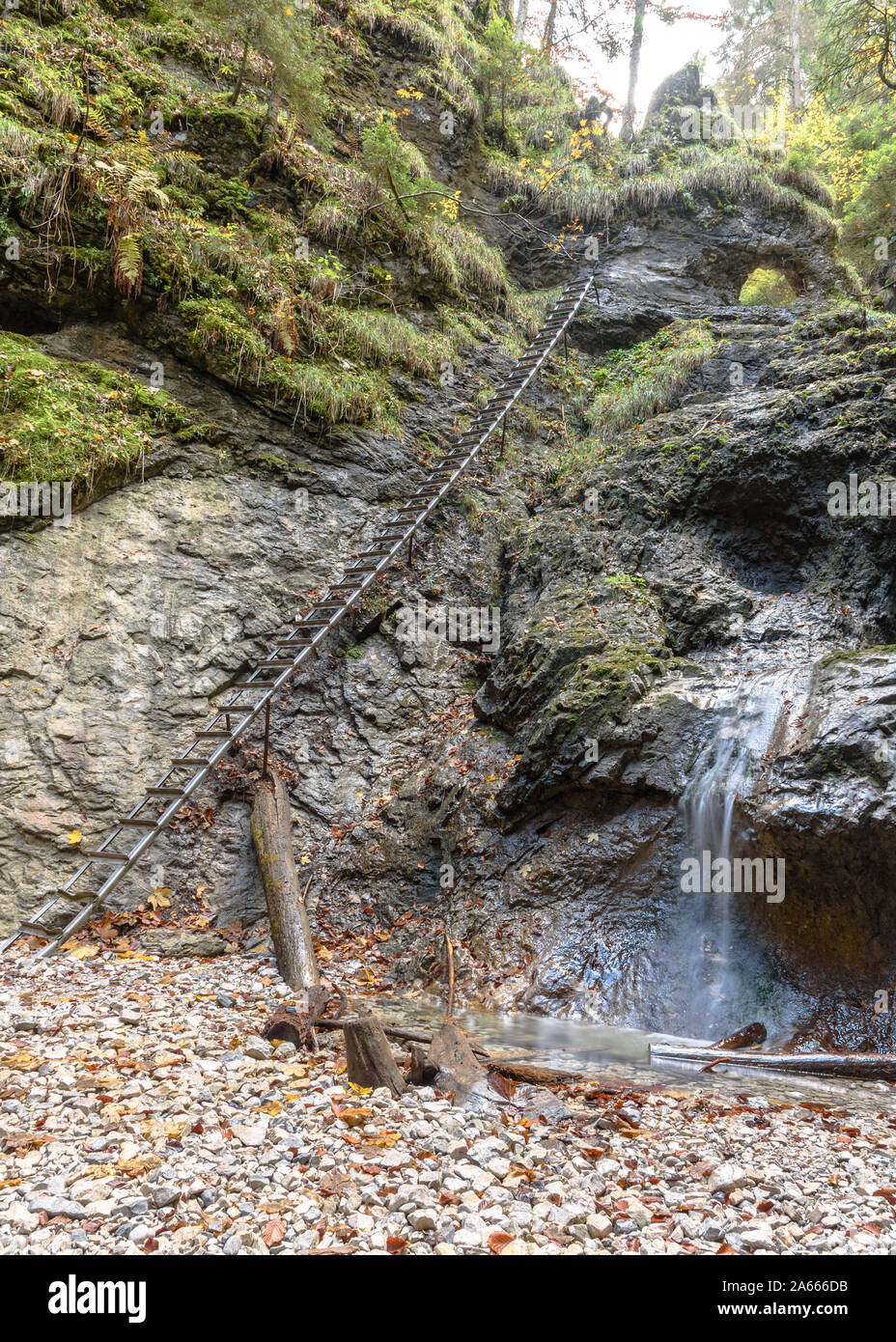 A metal ladder by a waterfall on the Sucha Bela hiking trail Stock Photo