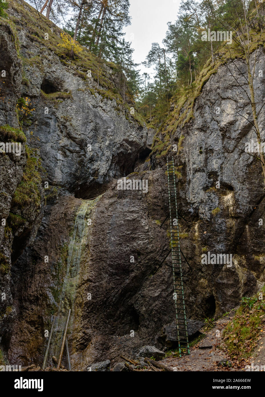 The tall metal ladder on the Piecky hiking trail in the Slovak Paradise Stock Photo