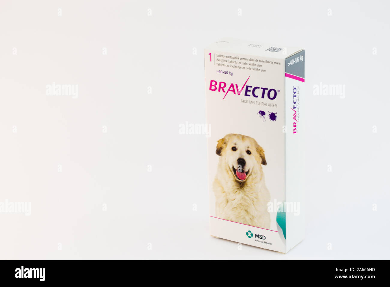 Cluj-Napoca/Romania-10 24 2019: Bravecto Chewable Tick & Flea Tablet Stock Photo