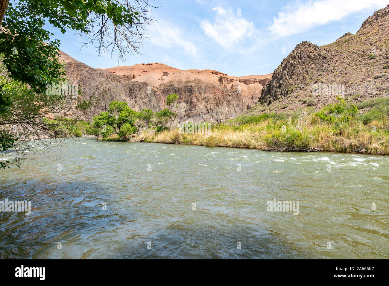 Charyn National Park Sharyn Canyon Breathtaking Picturesque View of River on a Sunny Blue Sky Day Stock Photo