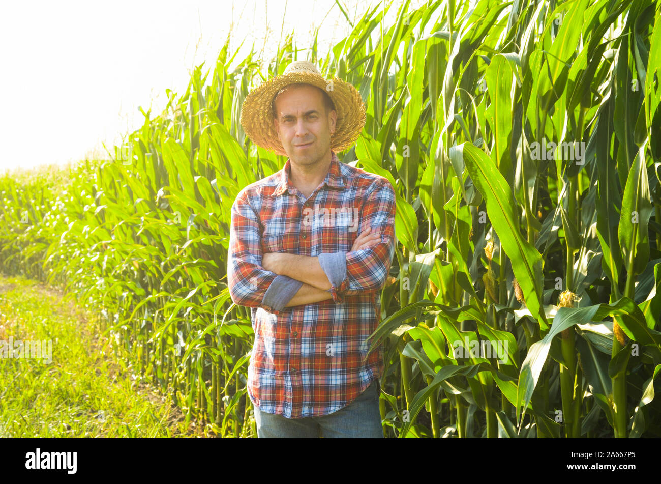 Farmer in straw hat with crossed hands standing in front of green maize ...