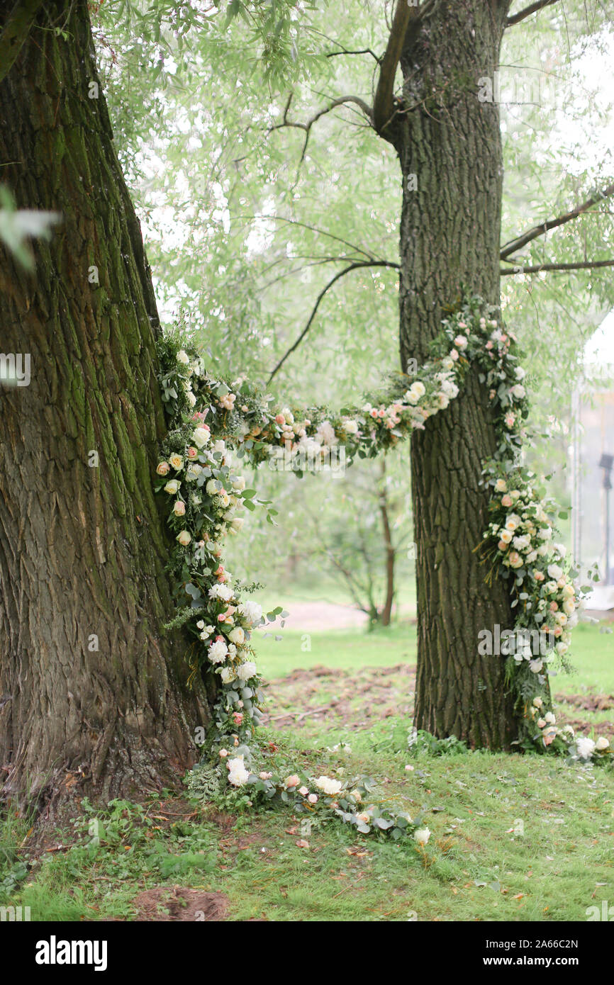 Flower arch for wedding and trees Stock Photo Alamy